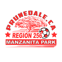 Ayso 256