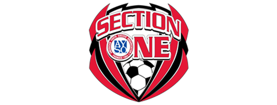 Section Playoffs - All-Star