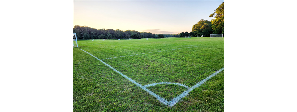 Morning at the fields 