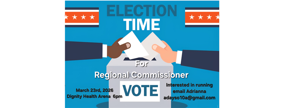 Regional Commissioner Election
