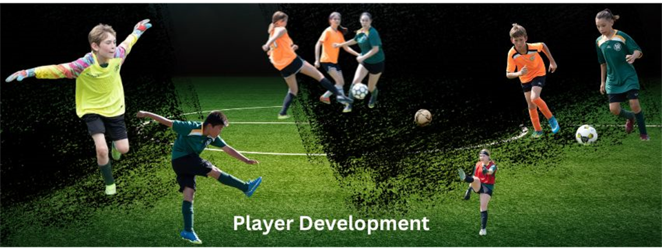 Player Development