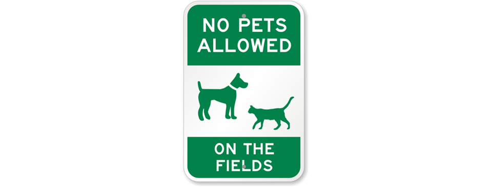 NO Pets on the field