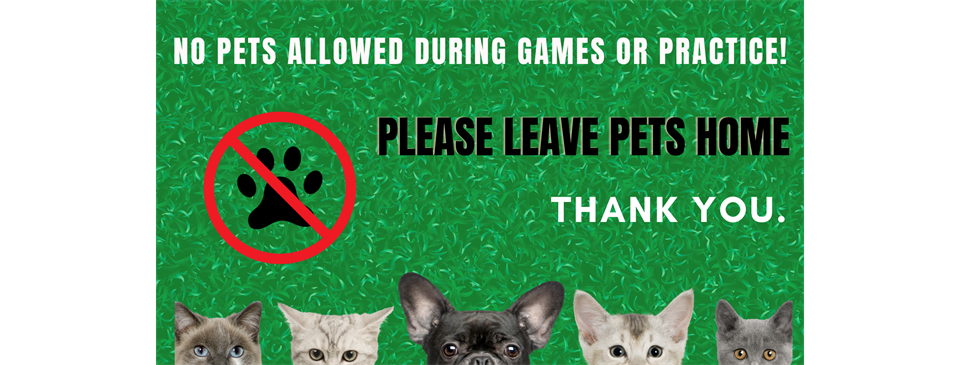 No Pets Allowed!