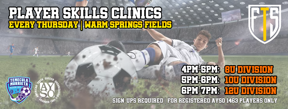 Player Skills Clinics