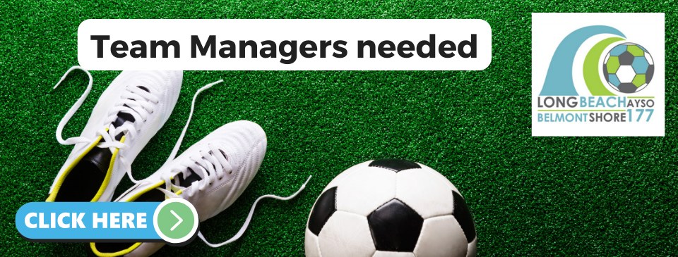 We need team managers!