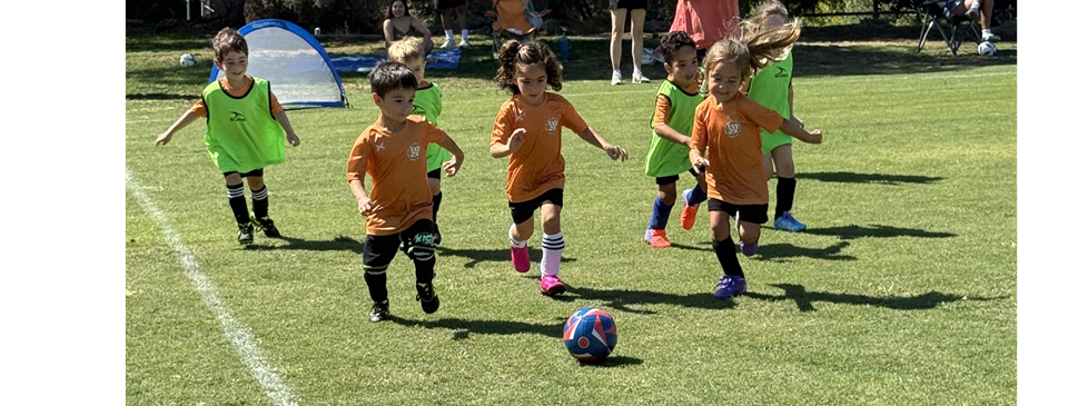Player Development